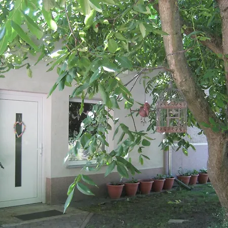 Apartment Spitzenkemenate Burgneudorf